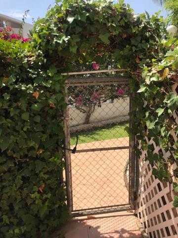 South Facing Casa Bonnie Apartment Playa Flamenca Exterior foto